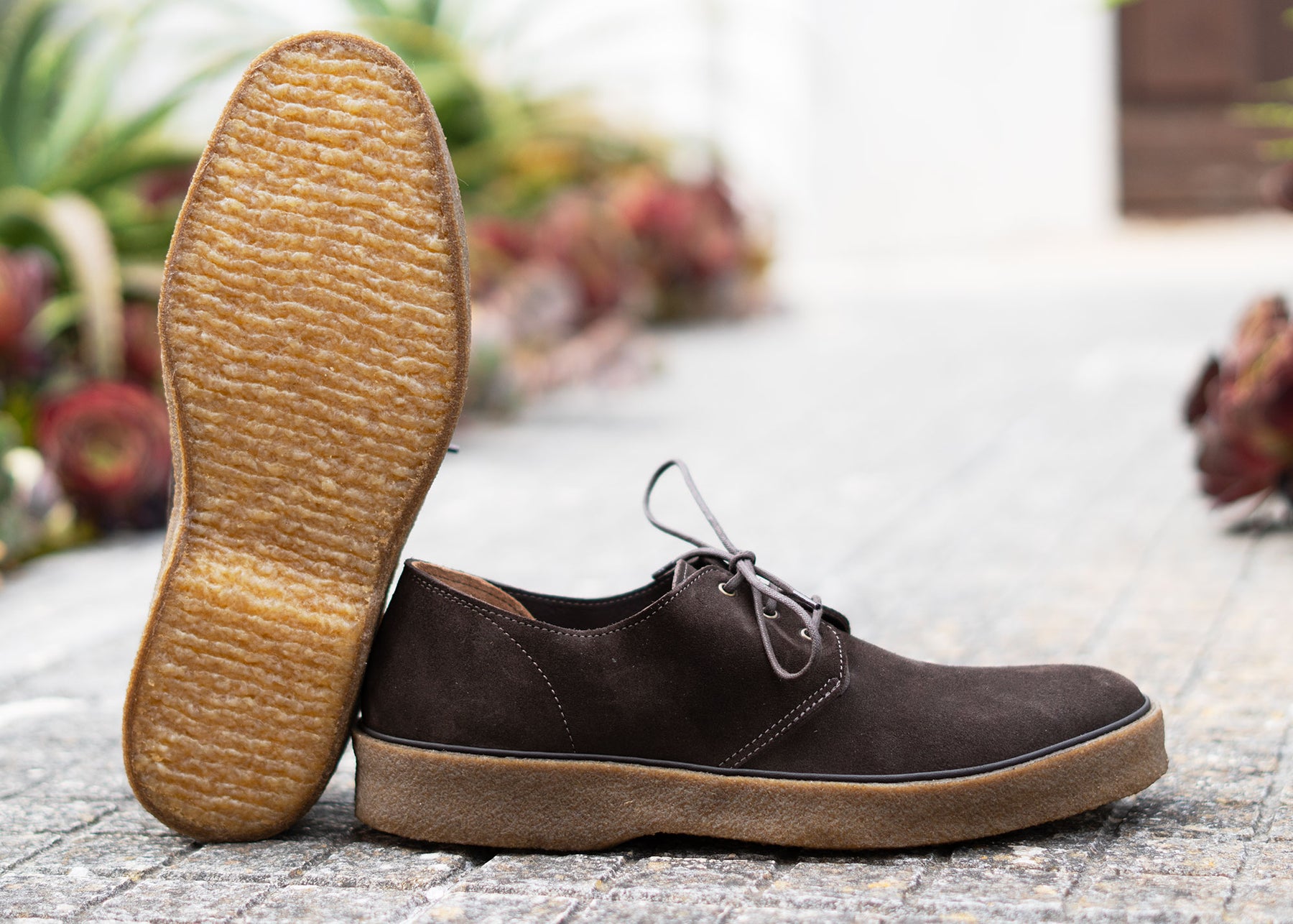 Playtime Shoe Cavendish Tobacco