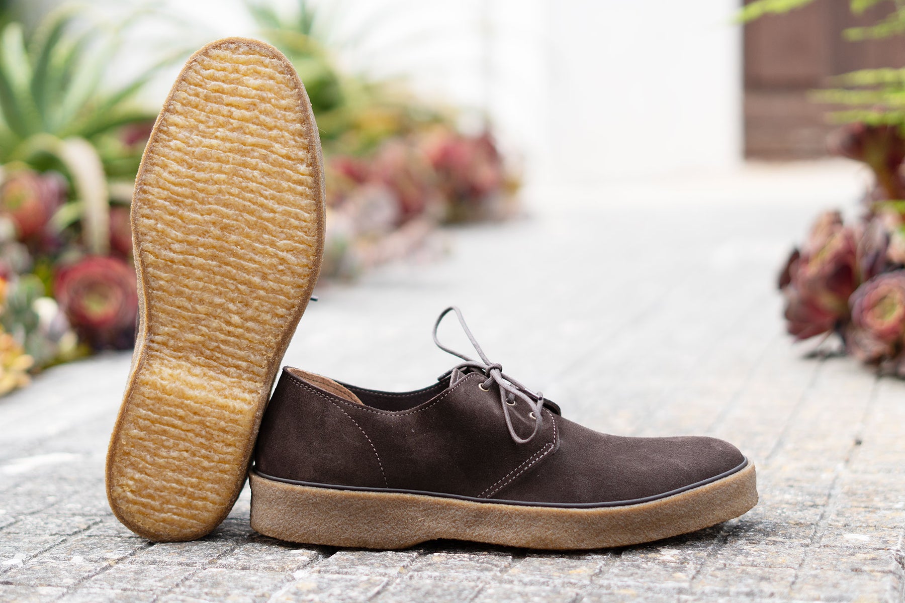 Playtime Shoe Cavendish Tobacco