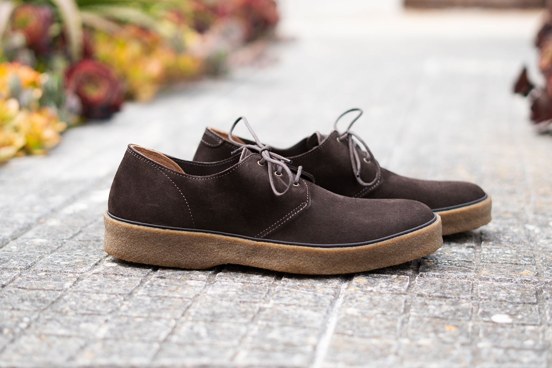 Playtime Shoe Cavendish Tobacco