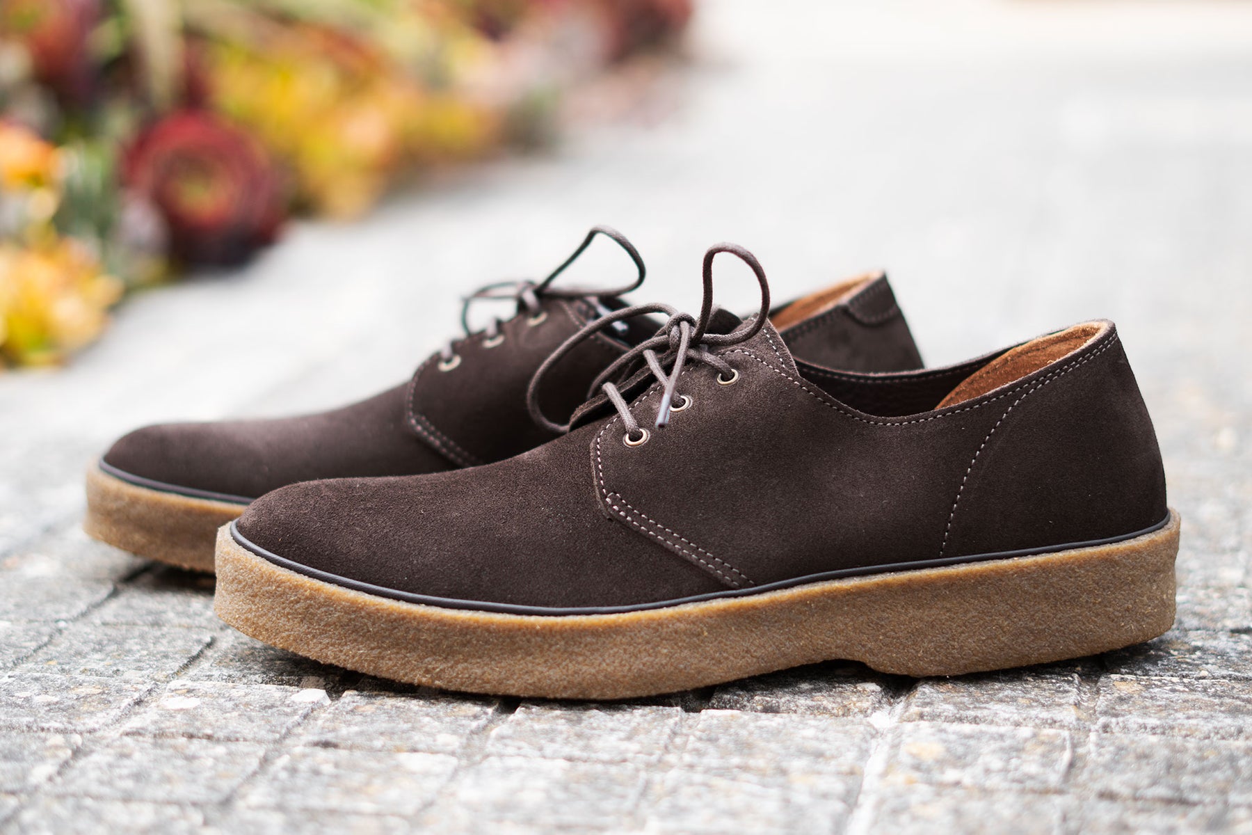 Playtime Shoe Cavendish Tobacco