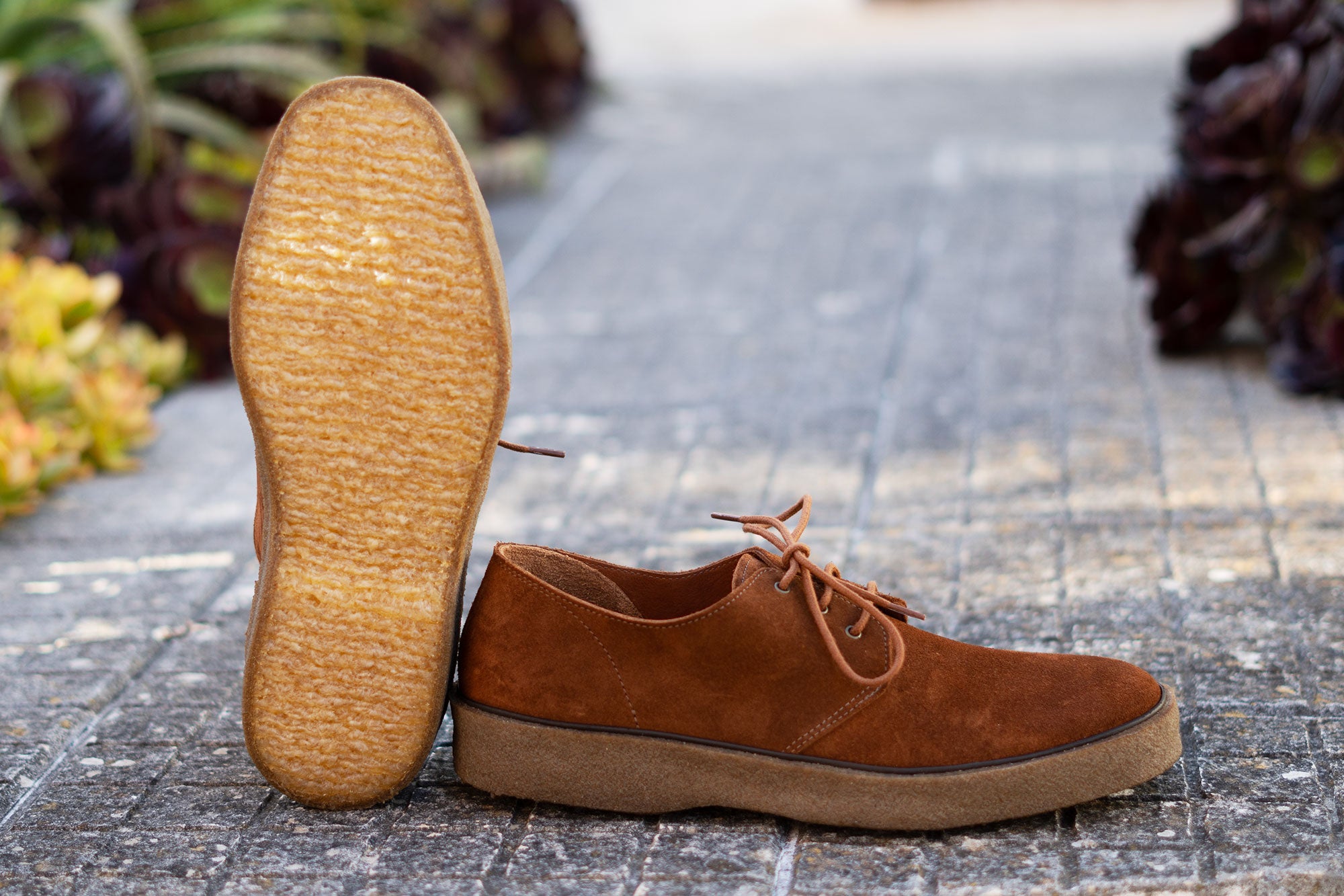 Playtime Shoe