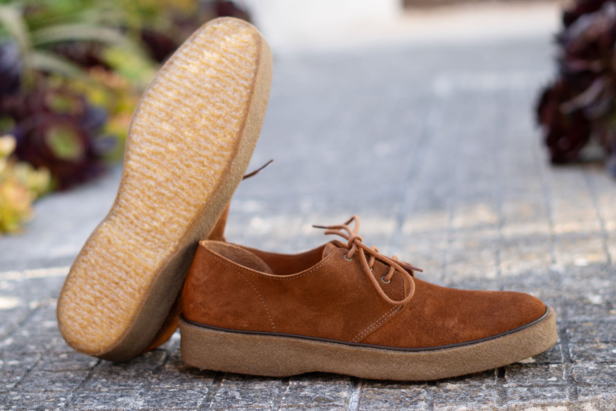 Playtime Shoe
